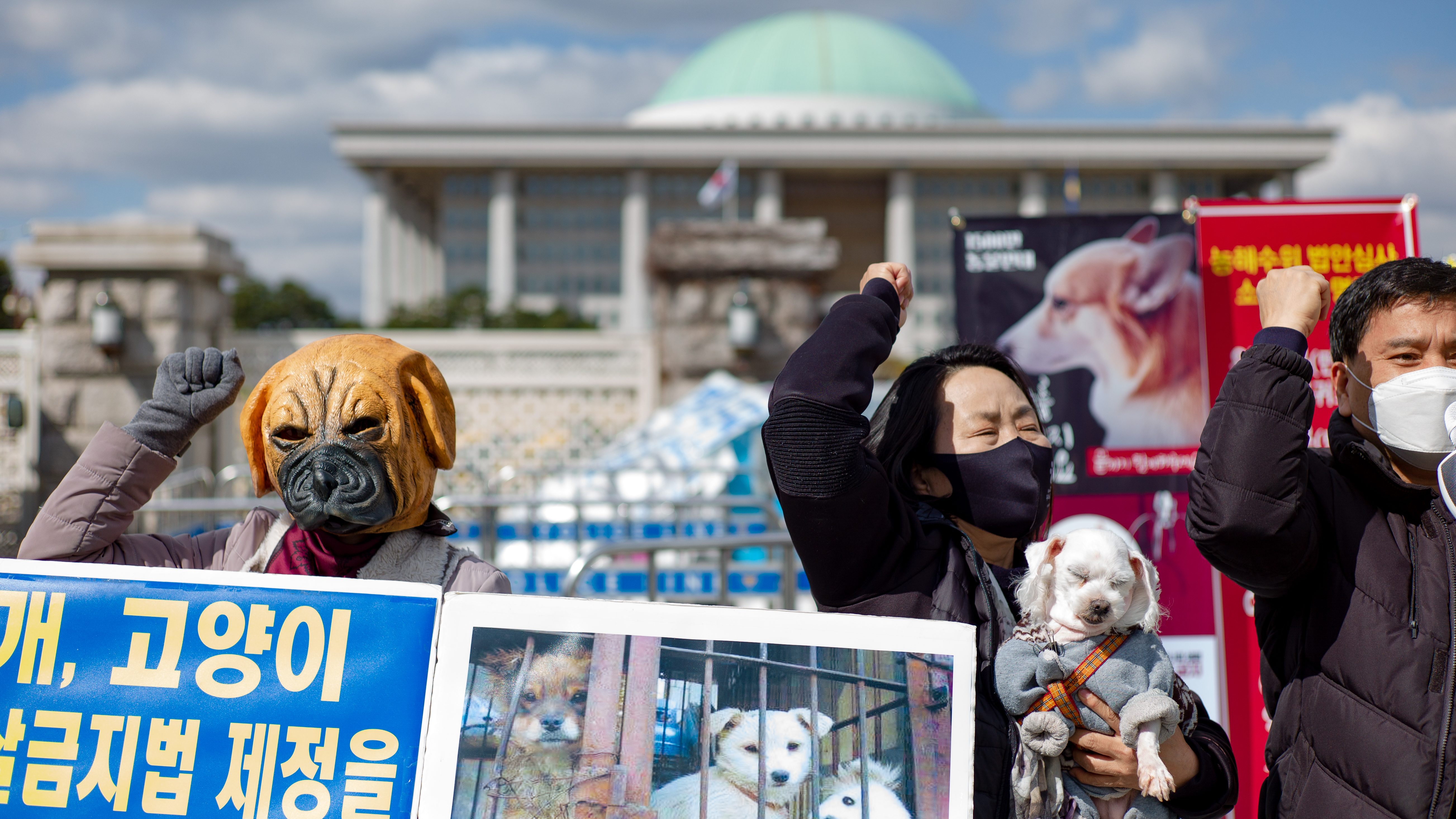 「犬食は動物虐待ではない」　韓国大統領候補の発言が物議を醸す | 国民の動物愛護の意識は高まっているのに