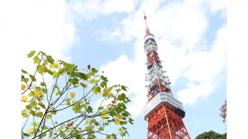 東京タワー周辺再開発の協力事業者が三井不動産に決定