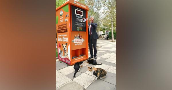路上の犬猫守る　トルコ・イスタンブール