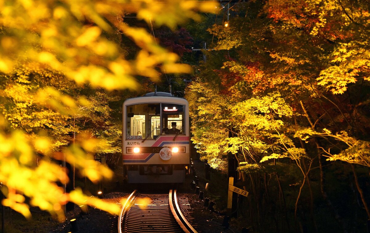 輝く「紅葉のトンネル」を駆ける　京都・叡山電鉄、6日からライトアップ