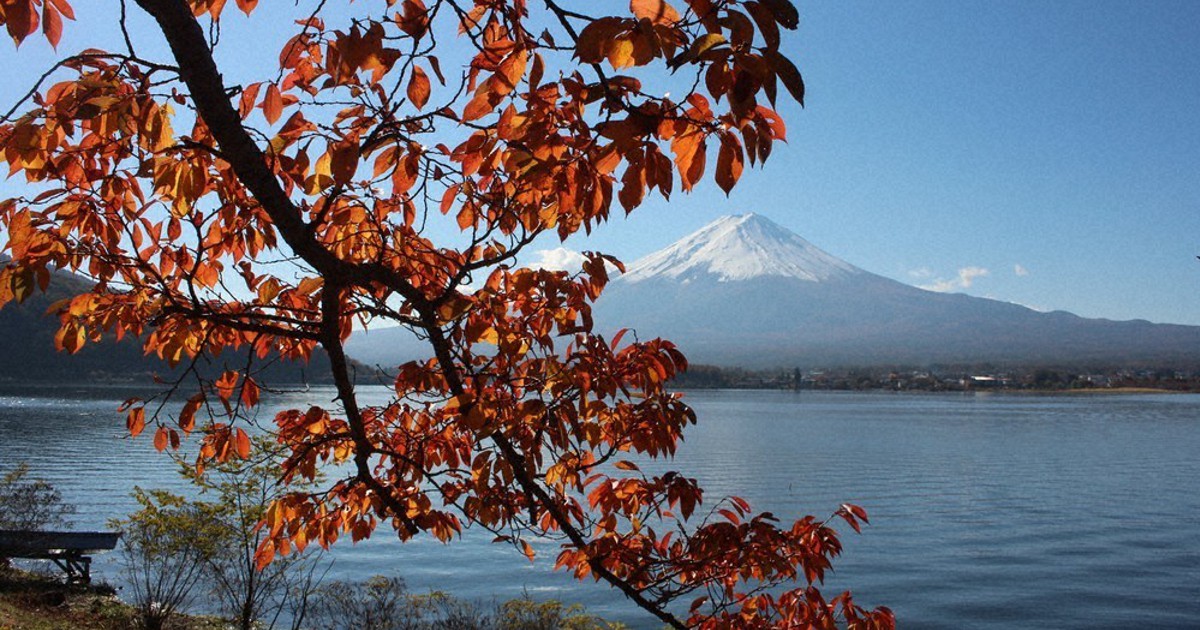 富士山と紅葉、秋空にくっきり　河口湖で「紅葉まつり」