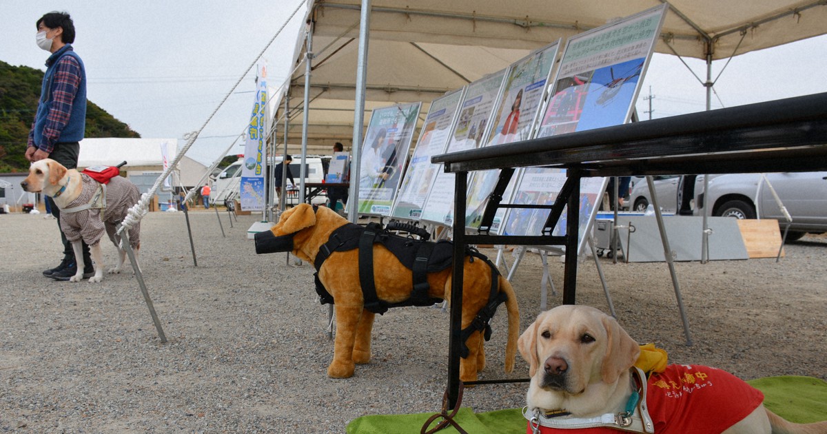 盲導犬が災害訓練に初参加　避難所受け入れ、広がる理解　島根