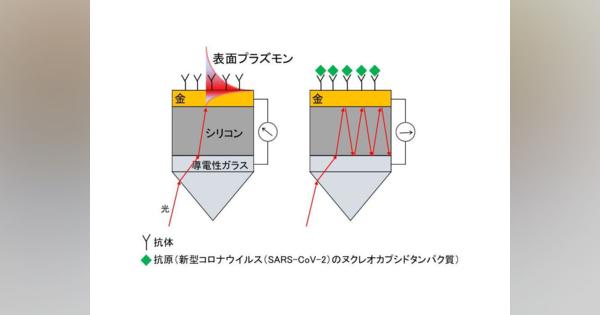 北海道大学、太陽電池とプラズモンを結合させ光学的変化を電気的に検出するバイオセンサーを開発