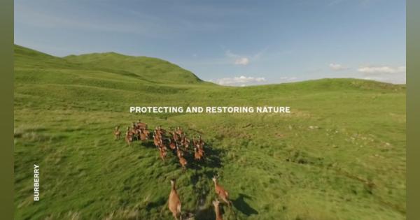 バーバリー、生物多様性戦略を発表　自然環境や生態系の保護・回復・再生を推進