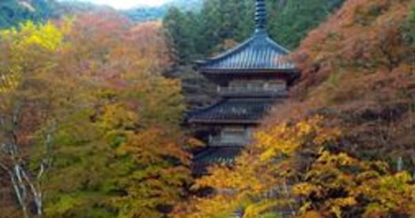 三重塔、色づく秋に包まれて　丹波紅葉三山の高源寺