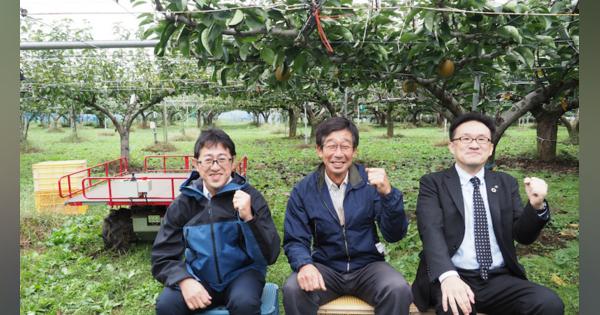 千葉県とNTT東日本などのチームが梨農園で実現する「スマート農業」とは?