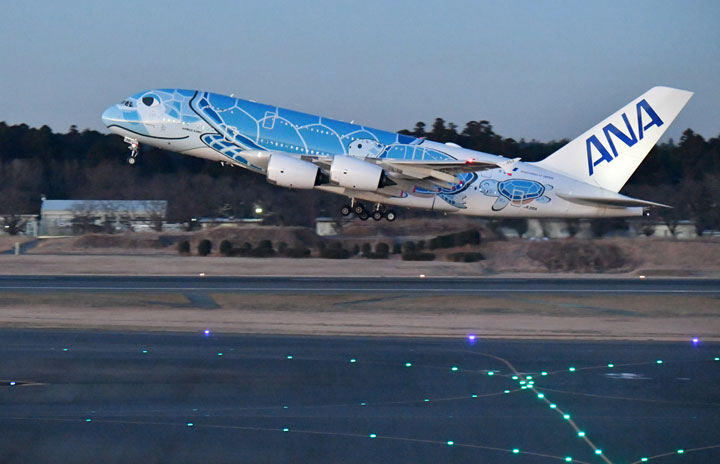 ANA、2年連続A380で初日の出フライト　成田発着、羽田・中部も