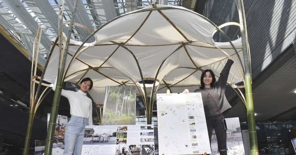 竹を使った仮設テント「竹のパビリオン」、学生が考案　南足柄市役所に展示