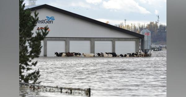 カナダ西部の洪水・土砂崩れで1人死亡、国内最大港の鉄道輸送停止
