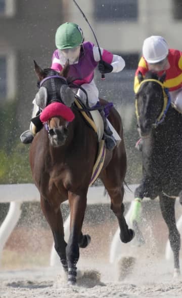 宮下騎手、国内女性初の通算千勝　名古屋競馬