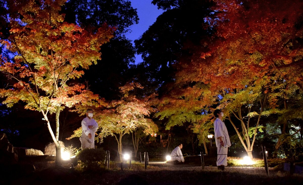 紅葉の庭園ライトアップ　京都・長岡天満宮であす20日から