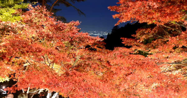 神奈川・丹沢大山、秋の夜は幻想的に　恒例の紅葉ライトアップ