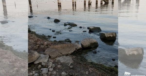 琵琶湖の水位低下で、 幻の坂本城跡・石垣が出現