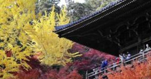 秋色に染まり古刹華やぐ　ロケ地で人気、姫路・書写山円教寺