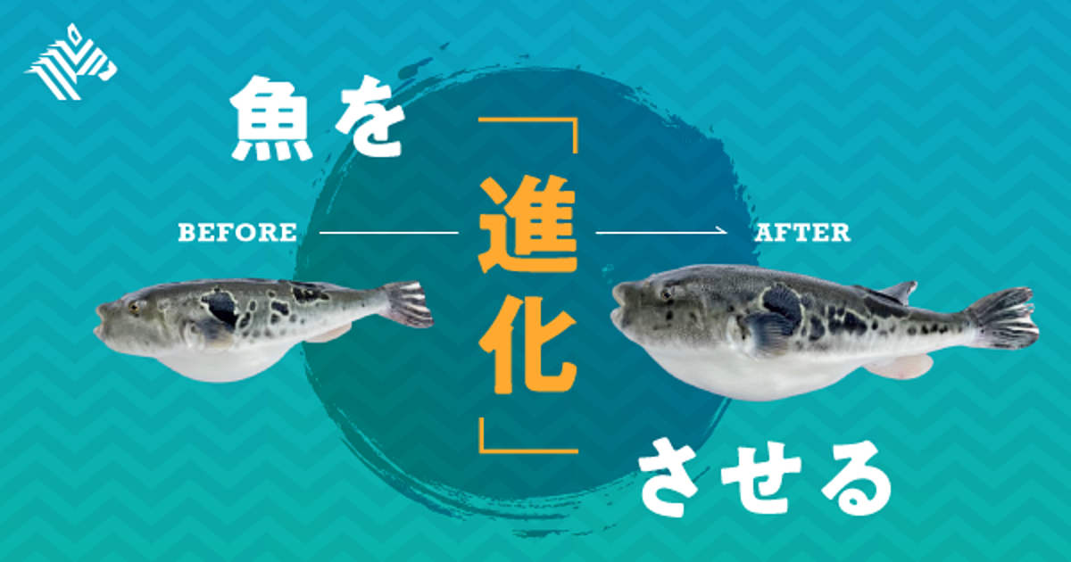 革新 次の 美味しい魚 はここから生まれる