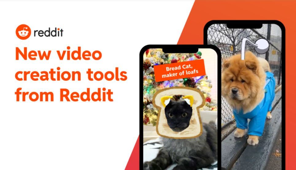 Reddit、買収したTikTok競合Dubsmashのアプリを来年2月に終了へ