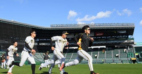 倒れ込む選手も　阪神野手秋季練習　強化ランニングで締め　大山は連日早出特守