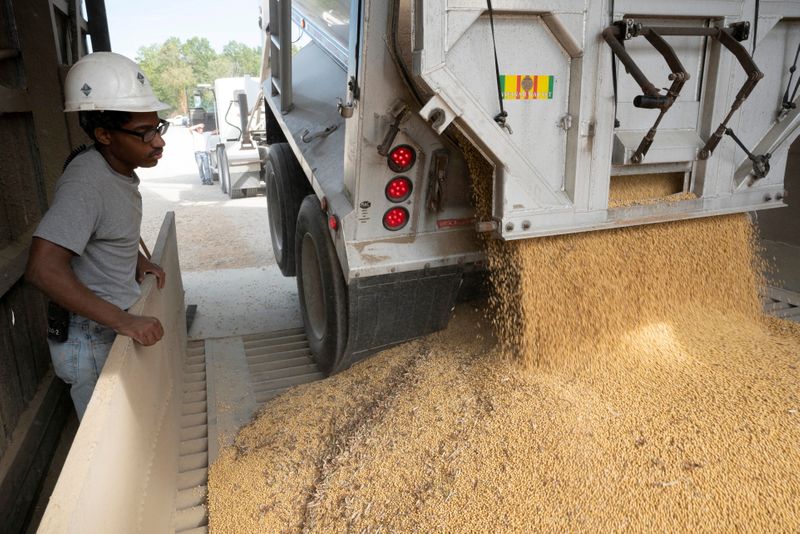 米農務省、農産品輸出予測引き下げ　大豆需要低迷で