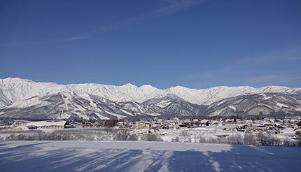 今年のゲレンデは雪が豊富　白馬村のスキー場が100％天然雪でオープン
