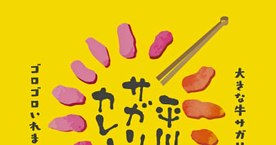 平川サガリカレー〝いい肉の日〟11月29日に発売／研究会が開発