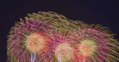 冬の夜空彩る6000発　八戸花火大会、3カ月遅れで開催