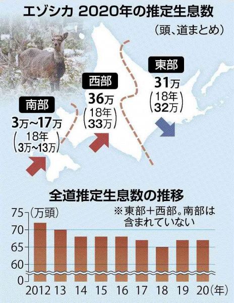 エゾシカ　捕獲減り再増加　誤射事故を受け狩猟規制　少雪で北海道全域に生息拡大　道南で農業被害深刻化：北海道新聞 どうしん電子版