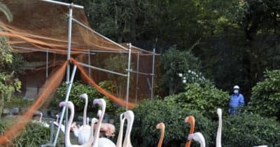 とべ動物園　屋外展示スペースに防鳥ネット設置　鳥インフル予防へ