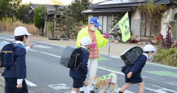 児童登校 愛犬と見守り活動8年　玉野の藤沢さん 信号ない横断歩道