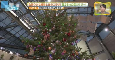 巨大ツリーも　「クリスマス展」　２６日から開催　新潟県立自然植物園