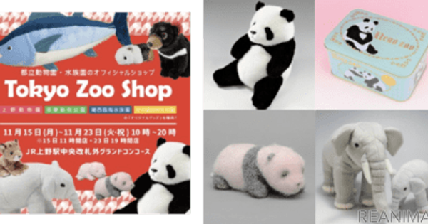 上野動物園公式「Tokyo Zoo Shop」出店＆ 「シャンシャン」写真展開催東京・上野