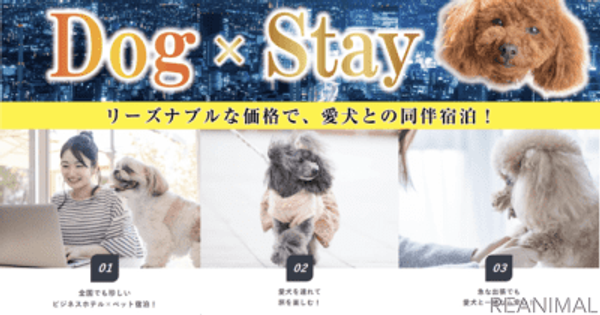 ホテルリブマックス、ビジネスホテルでのペット宿泊プラン「Dog×Stay」を発売