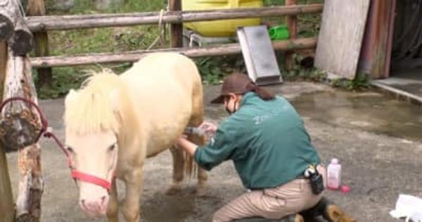 高知県立のいち動物公園を支える獣医に密着TBS系列「BACKSTAGE」、11月28日夜放送
