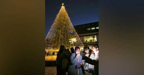 女子大キャンパスに「クリスマスツリー」7000個電飾で彩る