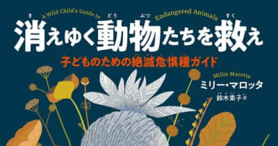 図鑑『消えゆく動物たちを救え 子どものための絶滅危惧種ガイド』刊行日本版の表紙はハシビロコウ