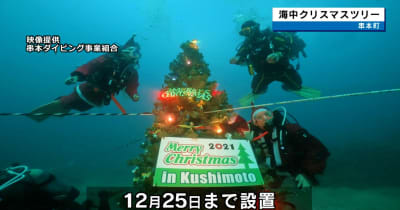 海中クリスマスツリー設置　串本町のダイビングスポット