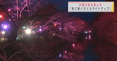 弘前公園「冬に咲くさくらライトアップ」試験点灯
