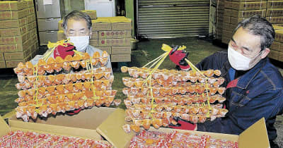 正月飾り「串柿」、あめ色鮮やか　氷見・久目特産、出荷開始