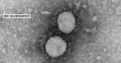 新潟県南魚沼市で１人感染確認 新型コロナウイルス