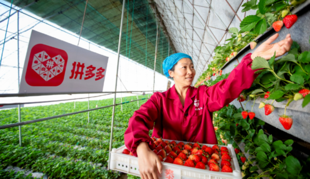 中国eコマースのPinduoduoが利益のすべてを農業に投資する理由
