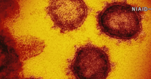 兵庫県内で新たな感染者確認されず 新型コロナウイルス