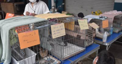 動物保護団体　犬猫譲渡を本格再開　飼育放棄増　マナー向上訴え