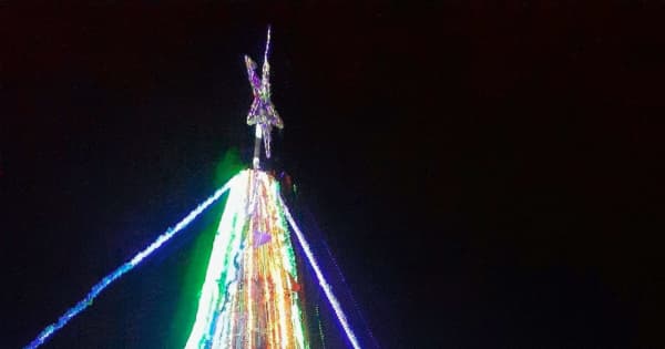 LED約4万個使用　巨大11メートルのクリスマスツリー　沖縄・金武