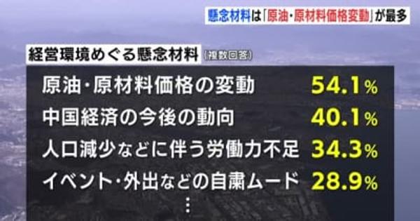 懸念材料は「原油・原材料価格変動」が最多　ひろぎん経済研究所　経営者アンケート　広島