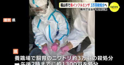 広島・福山市で鳥インフルエンザ　３万羽殺処分へ　県内では去年１２月以来