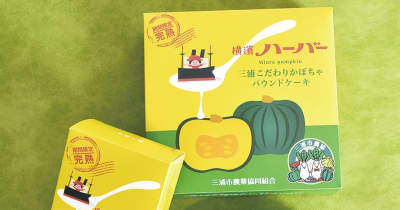 三浦市農協 完熟かぼちゃをケーキに （株）ありあけと共同開発　三浦市