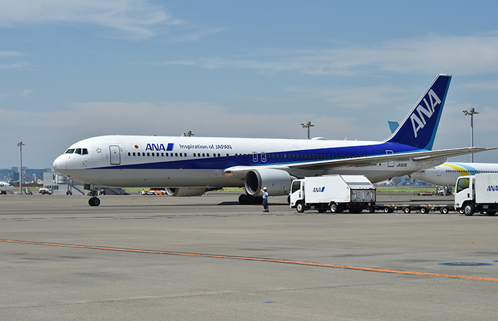 ANA国内線、1月運航率95％　17路線862便減便、羽田幹線は全便運航