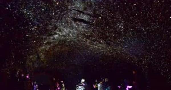 きらめく1000万の星 海食洞窟でプラネタリウム　鹿児島･南種子