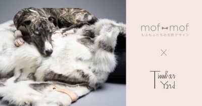 北欧デザインに特化したペット用品通販の 「mof -mof （モフモフ）」が、初のポップアップショップ開催 　 インテリアショップ「TIMBER YARD」とペットと過ごす北欧スタイルクリスマスを提案
