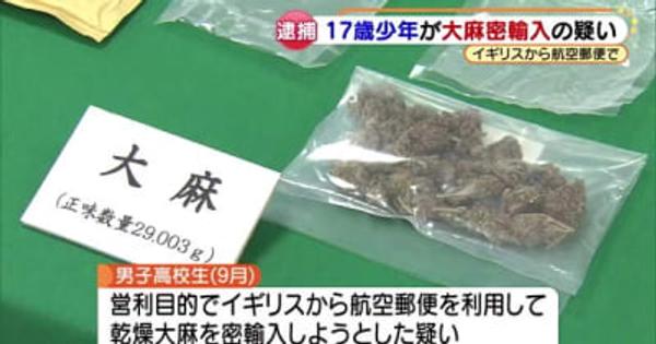 17歳の少年2人、大麻密輸した疑いで逮捕　日本国内で売りさばいたか　愛知
