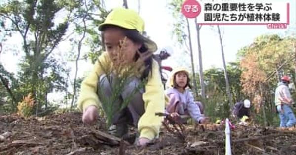 森林を守る大切さ学んで　木城町で保育園児たちがスギの植林体験・宮崎県